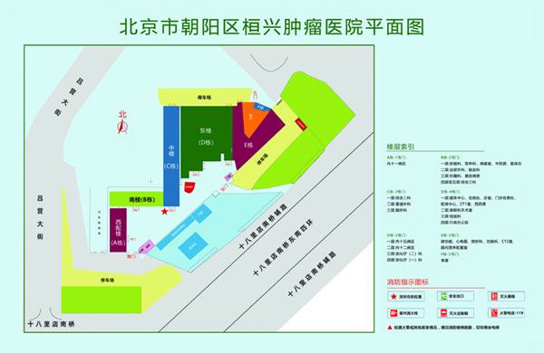 大鸡鸡日逼逼视频北京市朝阳区桓兴肿瘤医院平面图